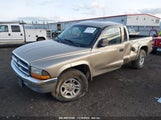 DODGE DAKOTA SLT 1D7HG42N04S****** fotografie