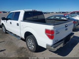 Ford F-150 Xlt 1FTFW1CF6DKG07206 снимка