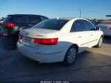 HYUNDAI SONATA LIMITED V6 photo