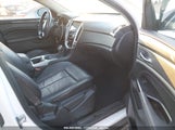 CADILLAC SRX STANDARD 3GYFNAE34ES****** снимка