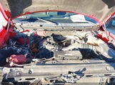 Ford F-150 Stx 1FTMF1EM9DFC02730 снимка