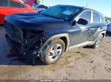 HYUNDAI TUCSON SEL KM8JB3DE6RU****** снимка