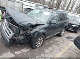 FORD ESCAPE LIMITED 1FMCU94729K****** снимка