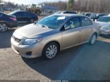 TOYOTA COROLLA XLE 2T1BU40E69C****** photo