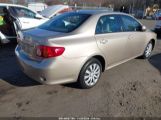 TOYOTA COROLLA XLE 2T1BU40E69C****** fotografie