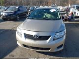 TOYOTA COROLLA XLE 2T1BU40E69C****** photo