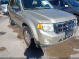 FORD ESCAPE XLT снимка