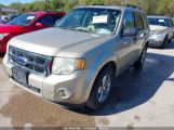 FORD ESCAPE XLT снимка