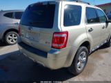 FORD ESCAPE XLT снимка