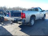 CHEVROLET SILVERADO 1500 WORK TRUCK 1GCEK14C48E****** fotografie