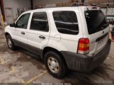 FORD ESCAPE XLS/XLS MANUAL photo