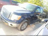 FORD F-150 XLT photo