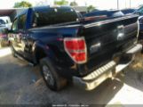 FORD F-150 XLT photo