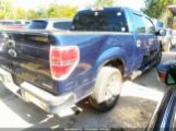 FORD F-150 XLT photo