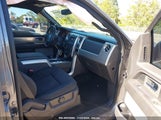 FORD F-150 FX2 1FTFW1CF1EK****** снимка