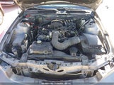 FORD MUSTANG V6/V6 PREMIUM 1ZVHT80N595134732 photo