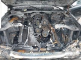CHEVROLET SILVERADO 1500 CLASSIC LS 2GCEC13V471146555 снимка