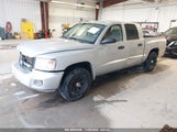 DODGE DAKOTA SLT 1D7HW48N18S562245 снимка