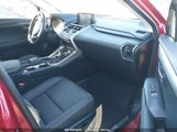 LEXUS NX 300H BASE/300H LUXURY/300H F SPORT BLACK LINE JTJDJRDZXM5****** fotografie