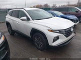 HYUNDAI TUCSON HYBRID BLUE KM8JBCA17NU****** снимка