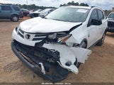 TOYOTA RAV4 LE 2T3ZFREV3FW****** fotografie
