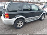 FORD ESCAPE XLT/XLT SPORT 1FMCU93197KB18438 fotografie
