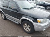 FORD ESCAPE XLT/XLT SPORT 1FMCU93197KB18438 fotografie