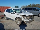 FORD ESCAPE SE 1FMCU0G60MU****** снимка