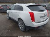 CADILLAC SRX PERFORMANCE COLLECTION снимка