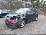 CHEVROLET EQUINOX LS 2GNALBEK6H6****** снимка