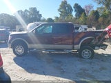 FORD F-150 FX4/KING RANCH/LARIAT/PLATINUM/XL/XLT 1FTPW14V59F****** photo