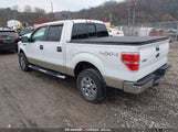 FORD F-150 FX4/KING RANCH/LARIAT/PLATINUM/XL/XLT 1FTPW14V39F****** снимка