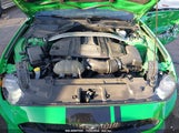 FORD MUSTANG GT 1FA6P8CF4K5****** снимка
