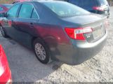 TOYOTA CAMRY SE/LE/XLE снимка