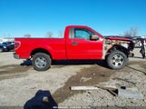 FORD F-150 XLT 1FTMF1EM6DK****** снимка