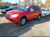 TOYOTA RAV4 photo