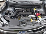 SUBARU FORESTER TOURING JF2SLDTC6SH****** fotografie