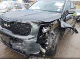 KIA TELLURIDE EX photo