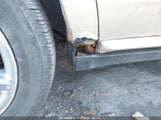 FORD FIVE HUNDRED SEL 1FAHP271X7G****** fotografie