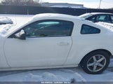 FORD MUSTANG GT PREMIUM 1ZVHT82H385****** снимка