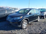 Honda Cr-V Lx 3CZRM3H31DG703551 снимка
