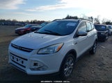 FORD ESCAPE SEL 1FMCU0HX6DU****** fotografie