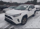 TOYOTA RAV4 XLE 2T3P1RFVXMC****** fotografie