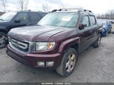 HONDA RIDGELINE RTL 2HJYK16579H****** снимка