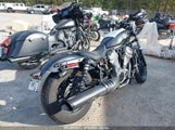 HARLEY-DAVIDSON RH975 1HD1ZH119PB315196 снимка
