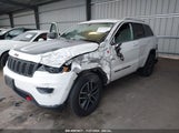 JEEP GRAND CHEROKEE TRAILHAWK 4X4 1C4RJFLGXJC264438 fotografie