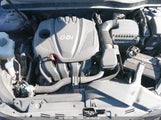 KIA OPTIMA LX 5XXGM4A74DG257866 снимка