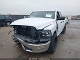DODGE RAM 1500 ST 1D7RB1GK1AS****** fotografie