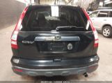 HONDA CR-V EX photo