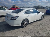 NISSAN MAXIMA 3.5 SV 1N4AA5AP3CC839904 снимка